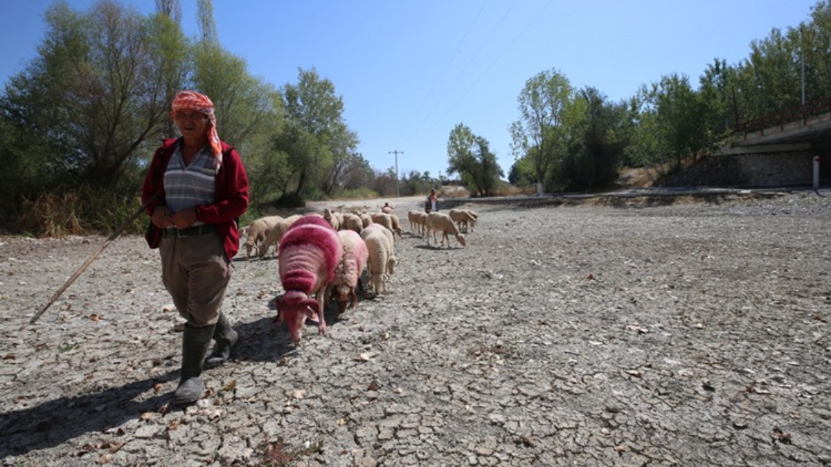 Ekolojik ve Kültürel Zararlar Yakından Görüldü