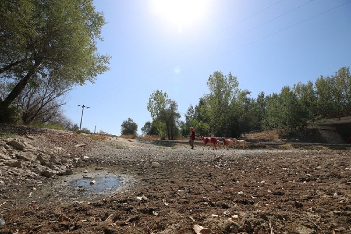 Çözüm Arayışları ve Sembolik Katılım