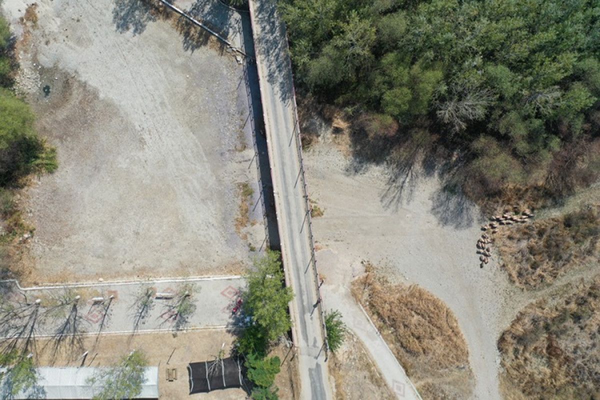 Hastalık Nedeniyle Organizasyon Ertelenmişti