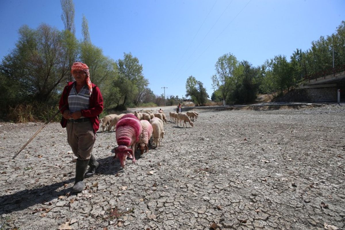 Sembolik Katılım ve Geleneksel Koruma
