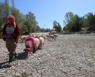 Çal’da 852 Yıllık Geleneğe Kuraklık Darbesi: Tarihi Çıkış ve Meydan Okuma