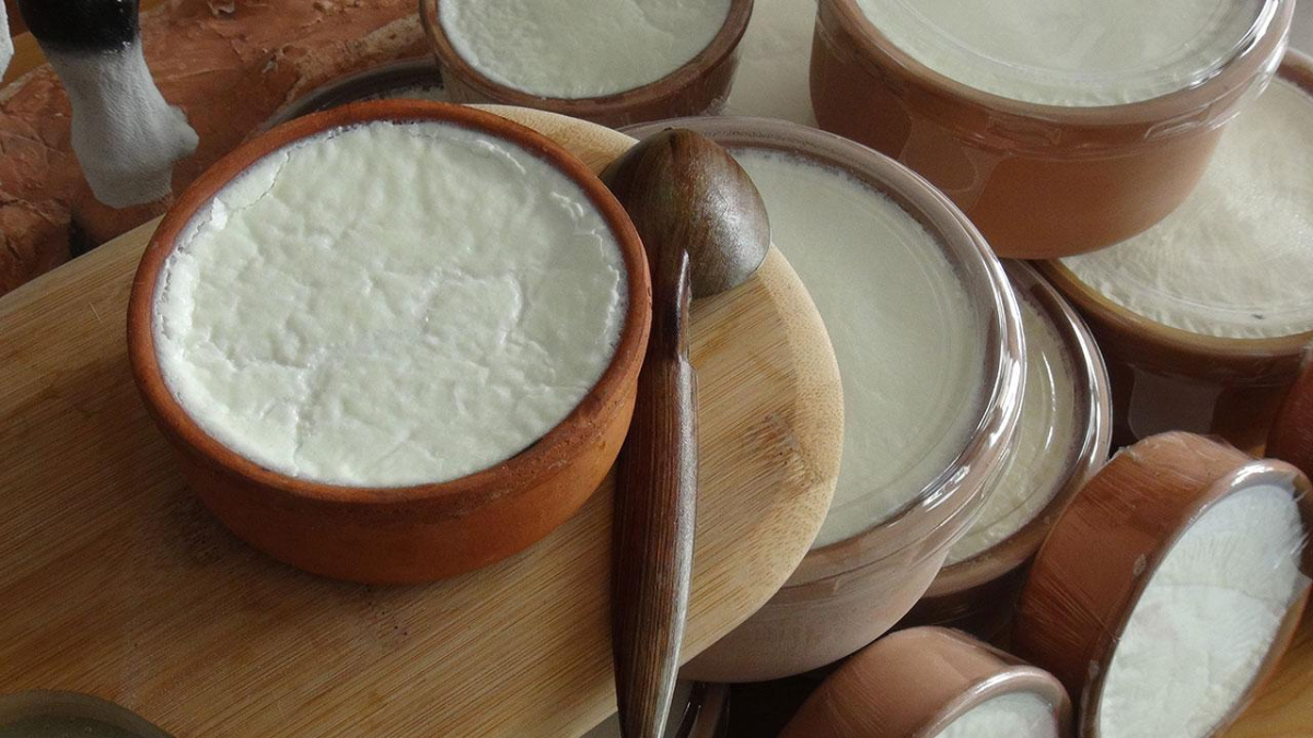 Sindirim ve Bağırsak Sağlığını Destekliyor