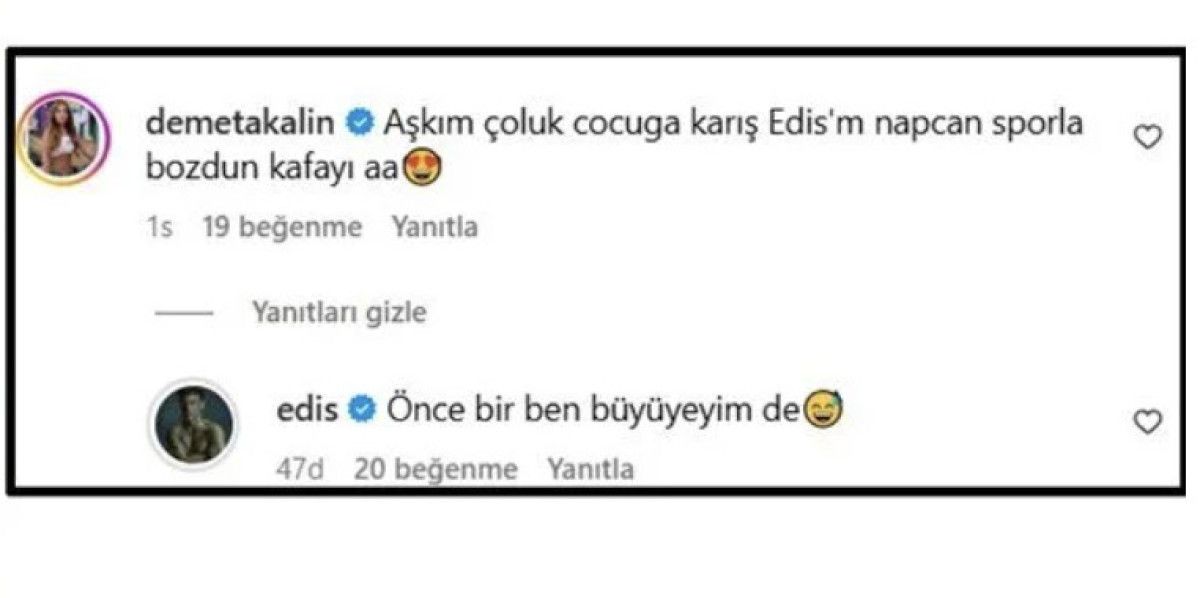 Demet Akalın'dan Edis'in Spor Paylaşımına Eğlenceli Yorum