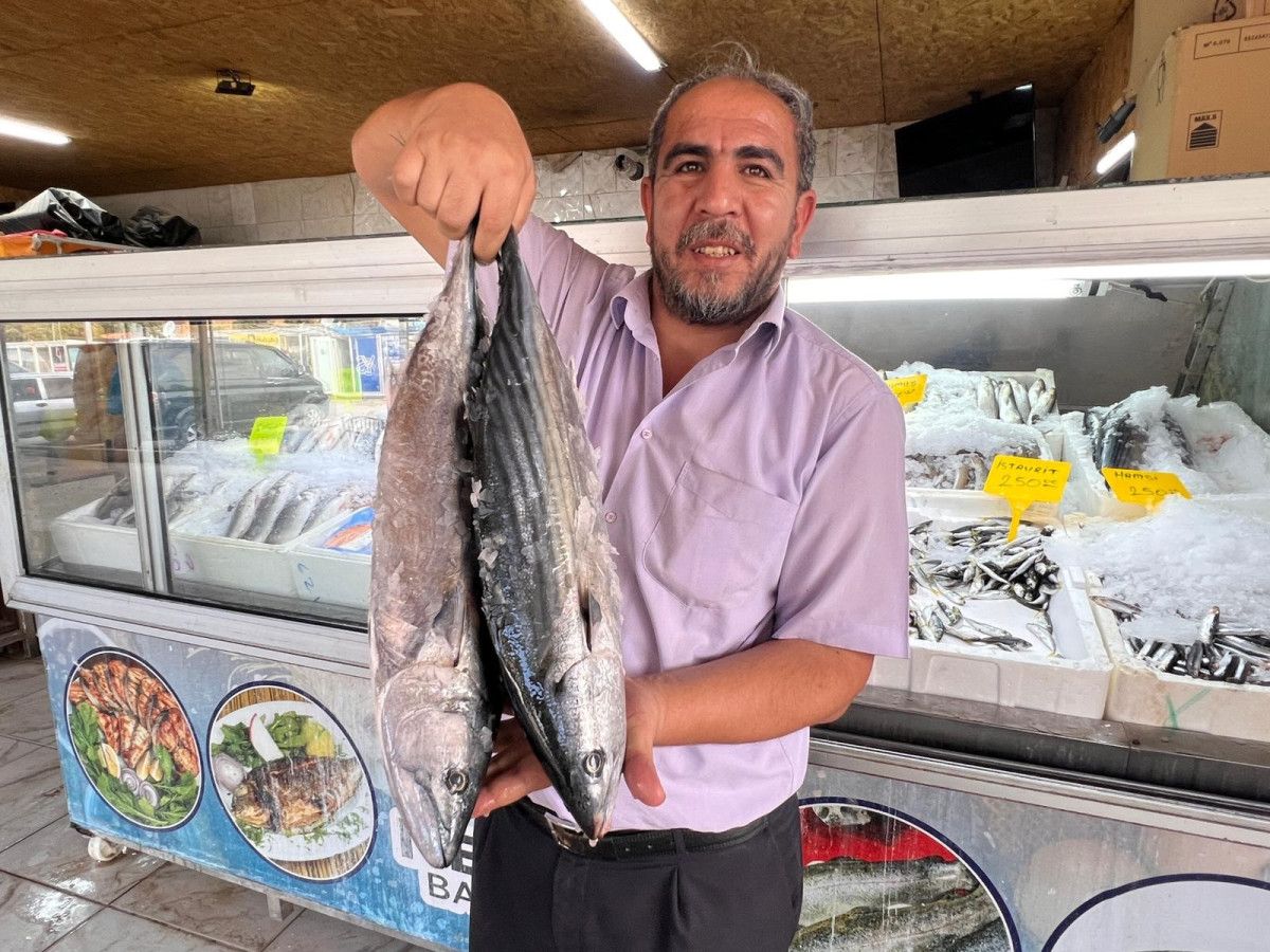 İhracat ve Uluslararası Pazarlar