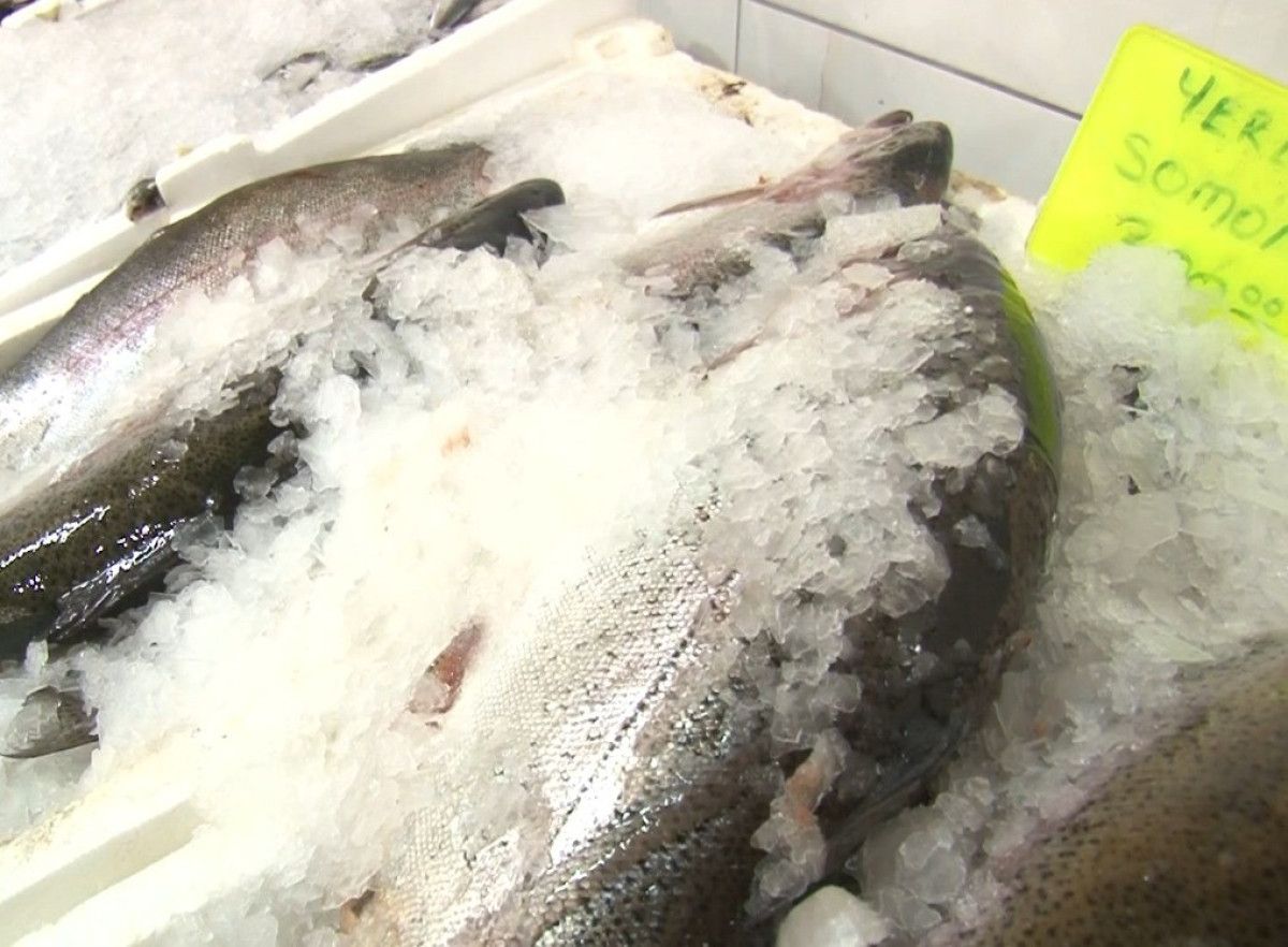 İnsanlar Balık Tüketimini Artırıyor