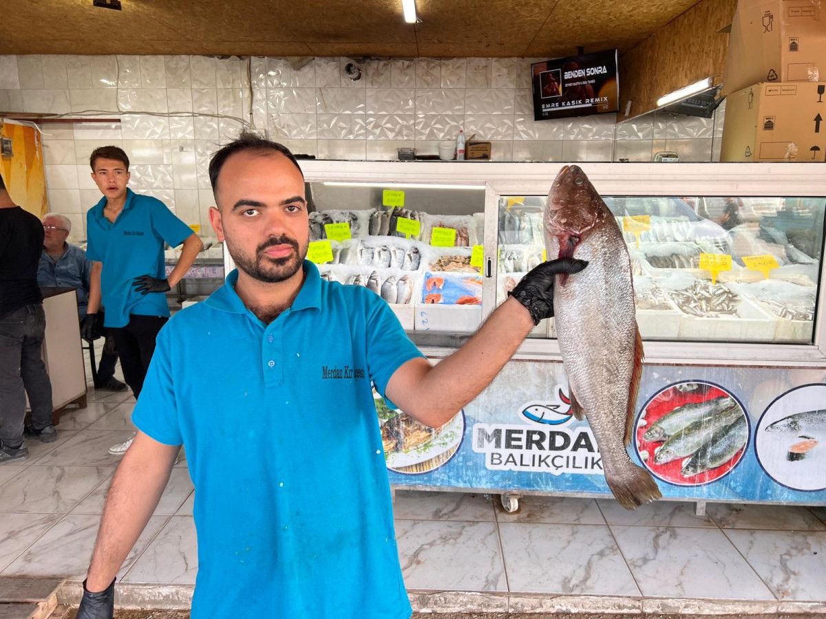 Deprem Sonrası Kahramanmaraştan 54 Ülkeye Balık İhracatı - Dayanışma ve Ekonomik Güç