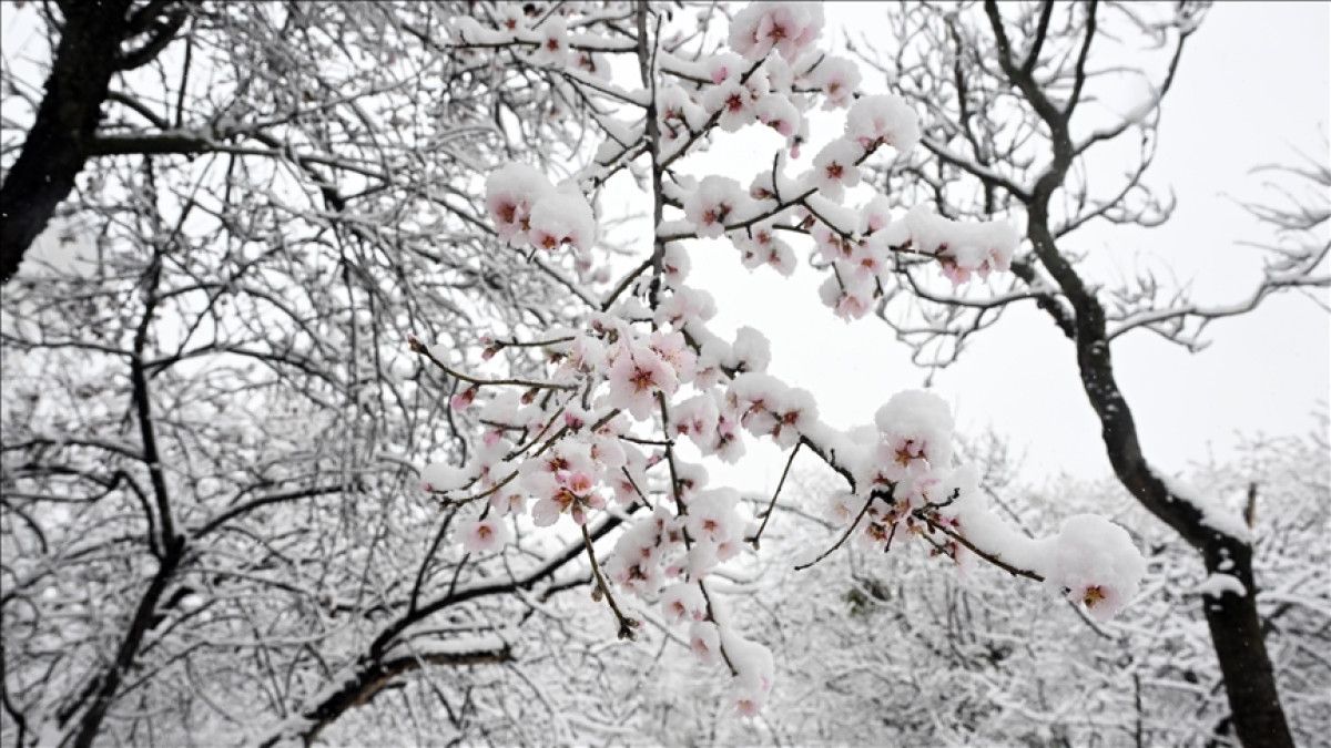 El Nino ve La Nina Olaylarının Genel Etkileri