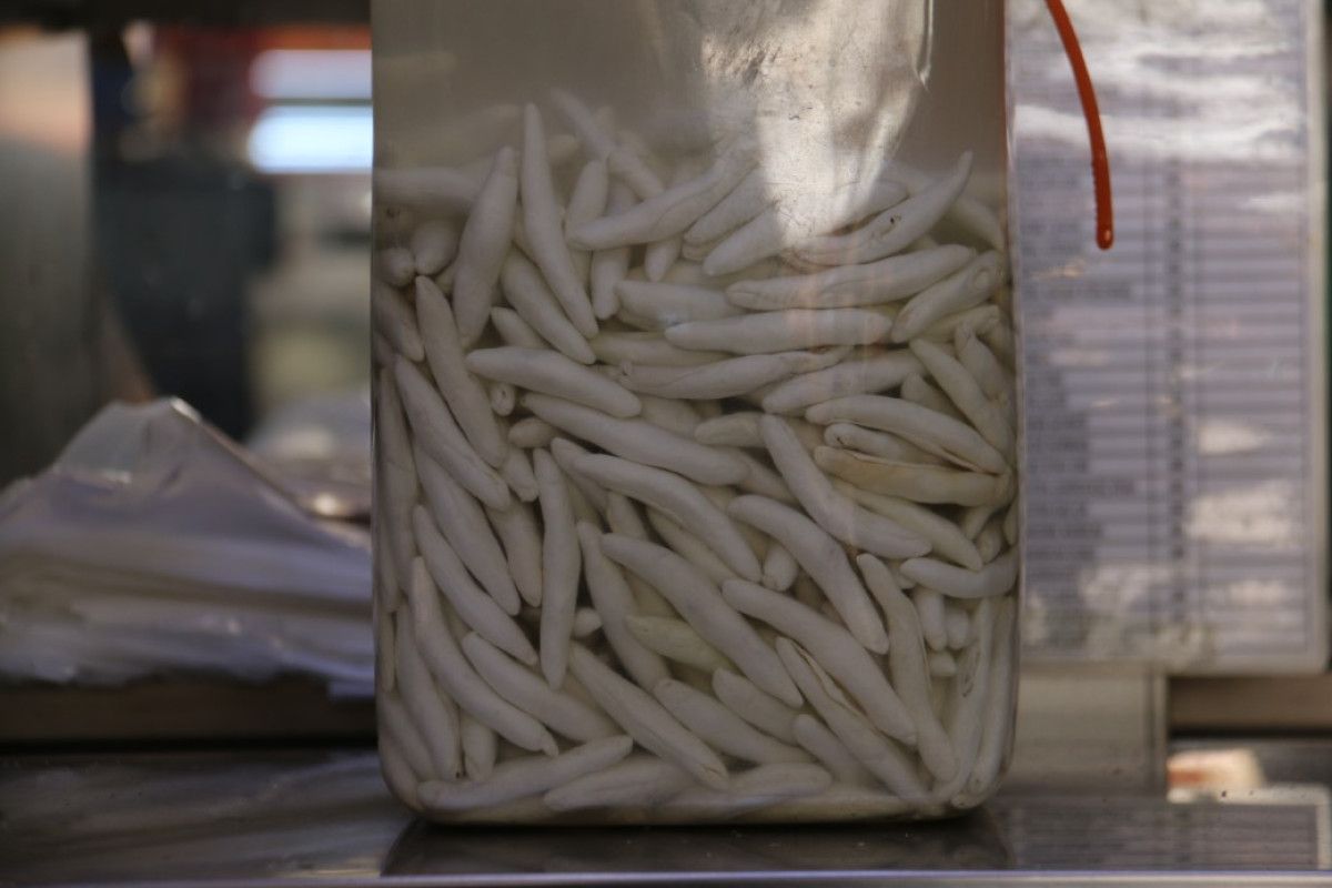 Dünyanın En Pahalı Sakızı: Kengerin Sağlığa Katkıları ve Faydaları