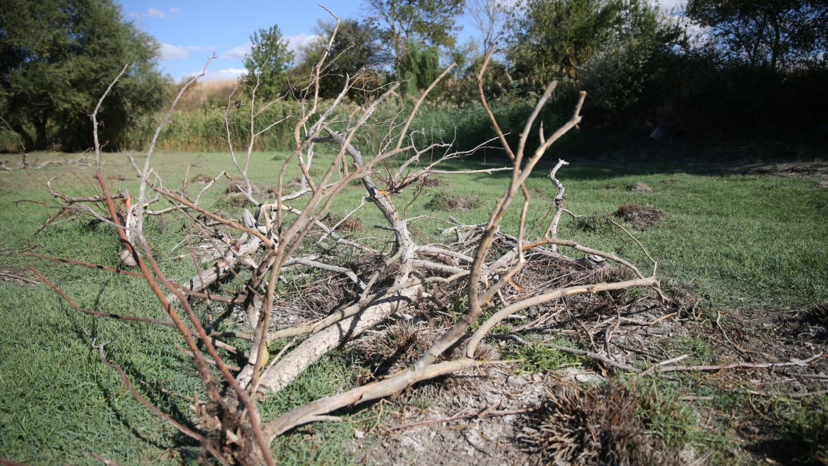 Musabeyli Göleti Tamamen Kurudu