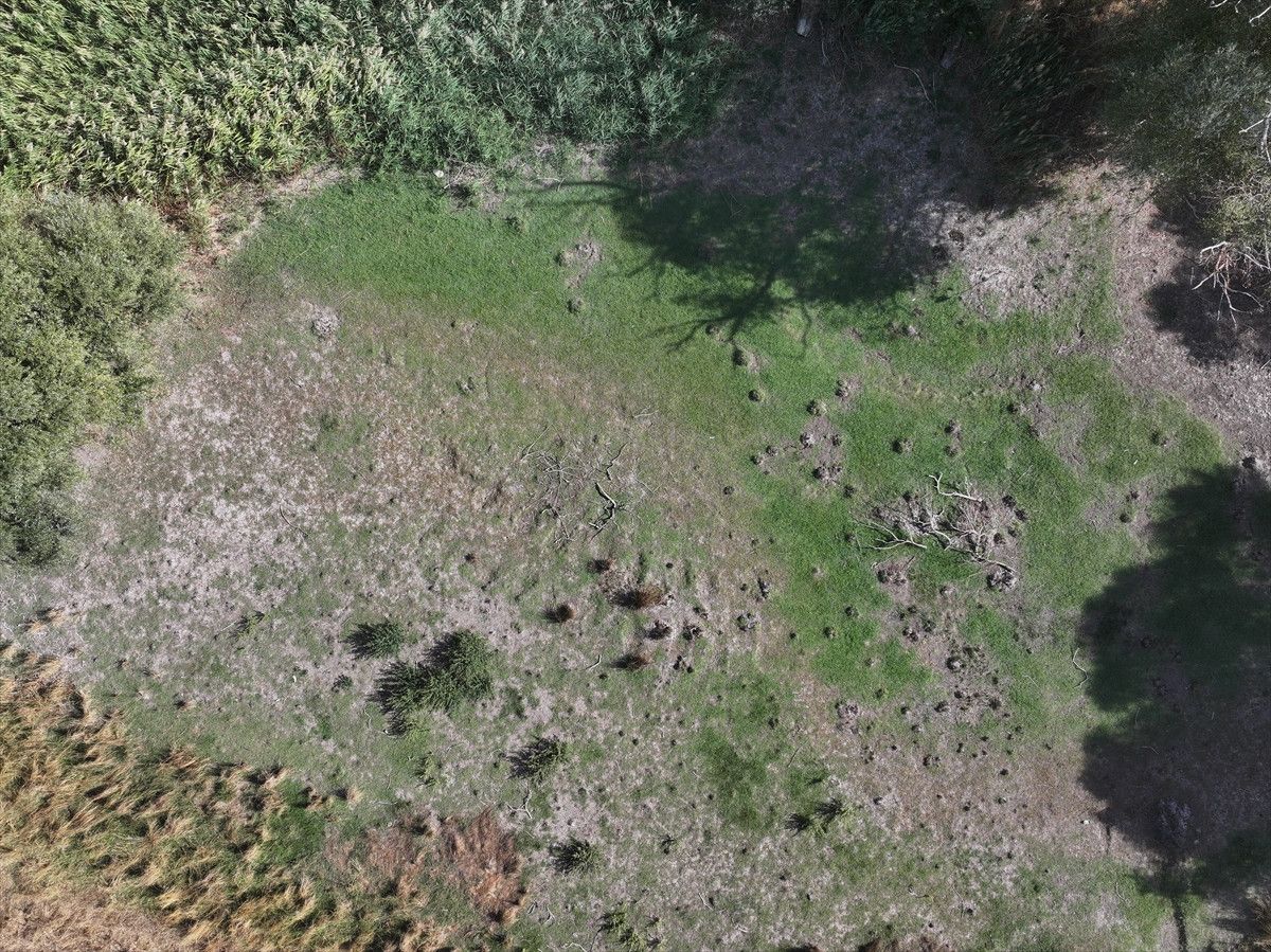 Edirne Musabeyli Göleti Tamamen Kurudu - Son Durum ve Detaylar