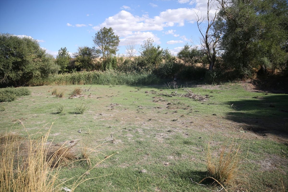 Edirne Musabeyli Göleti Tamamen Kurudu - Son Durum ve Detaylar