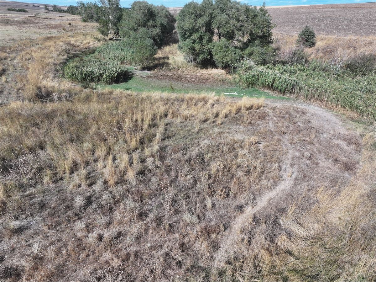 Edirne Musabeyli Göleti Tamamen Kurudu - Son Durum ve Detaylar