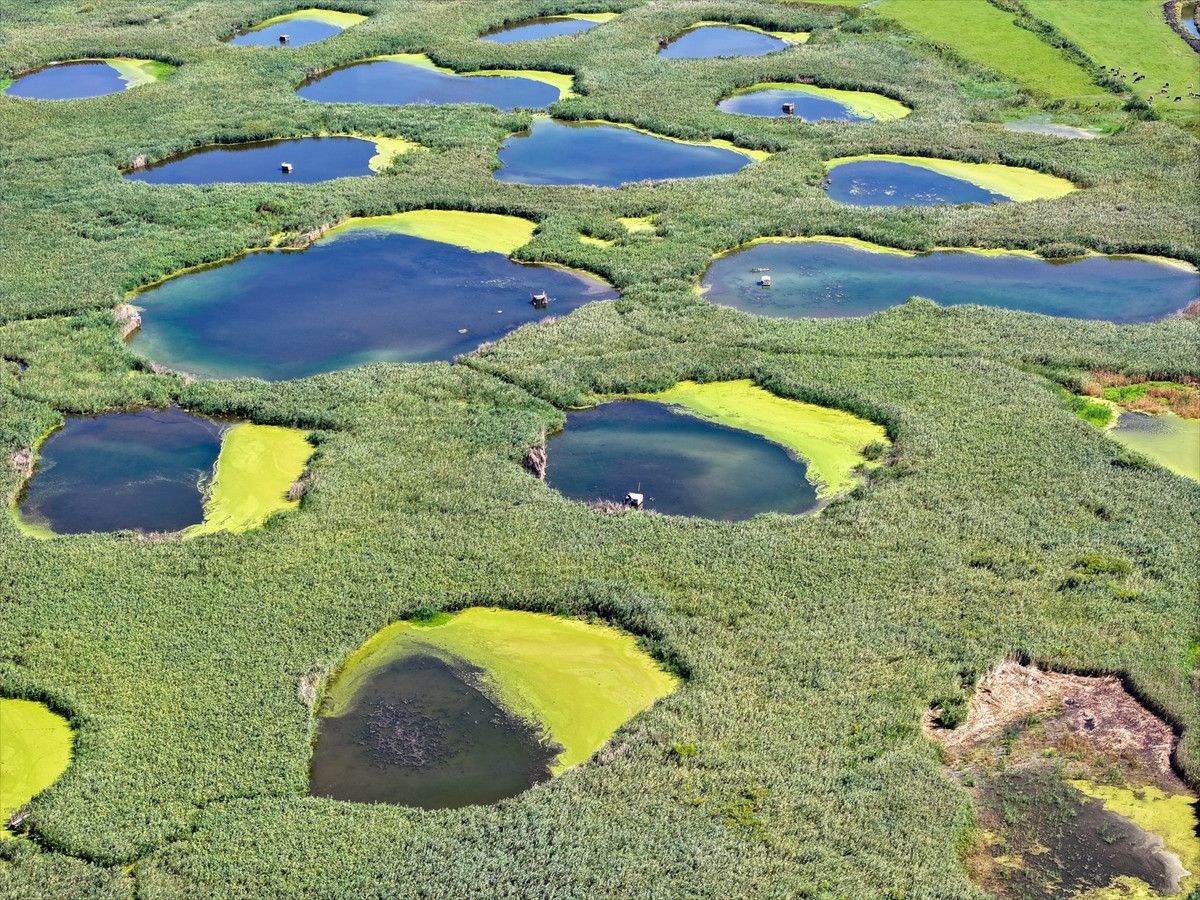 Kuraklığa Karşı Dirençli