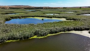 Edirne’de Göl Baba Kuraklığa Direniş Gösteriyor