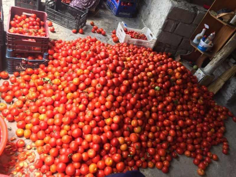 Ev Yapımı Salçanın Saklanma Hataları ve Öneriler