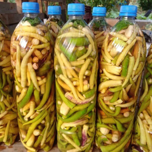 En Kolay ve Lezzetli Salatalık Turşusu Tarifi - Kütür Kütür Salatalık Turşusu Nasıl Yapılır?