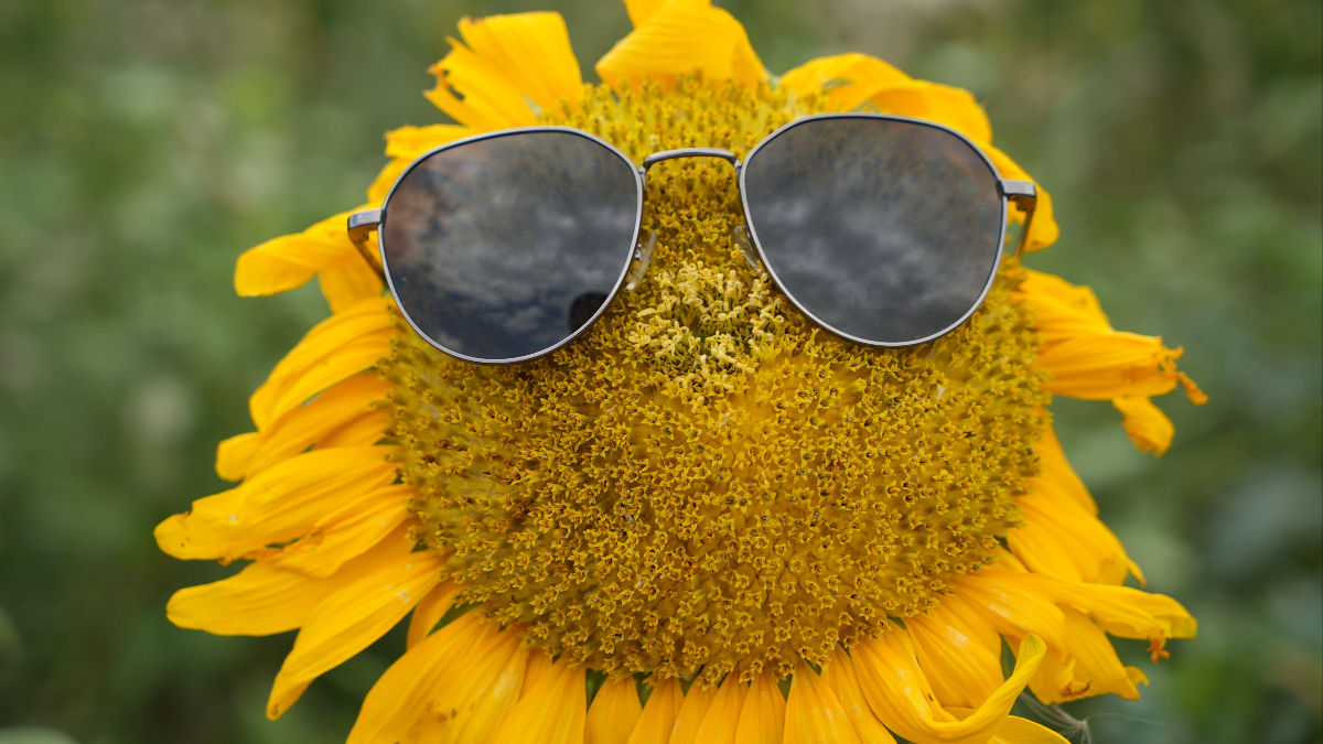 Havadan Çekilen Muhteşem Görüntüler ve Doğal Güzellikler