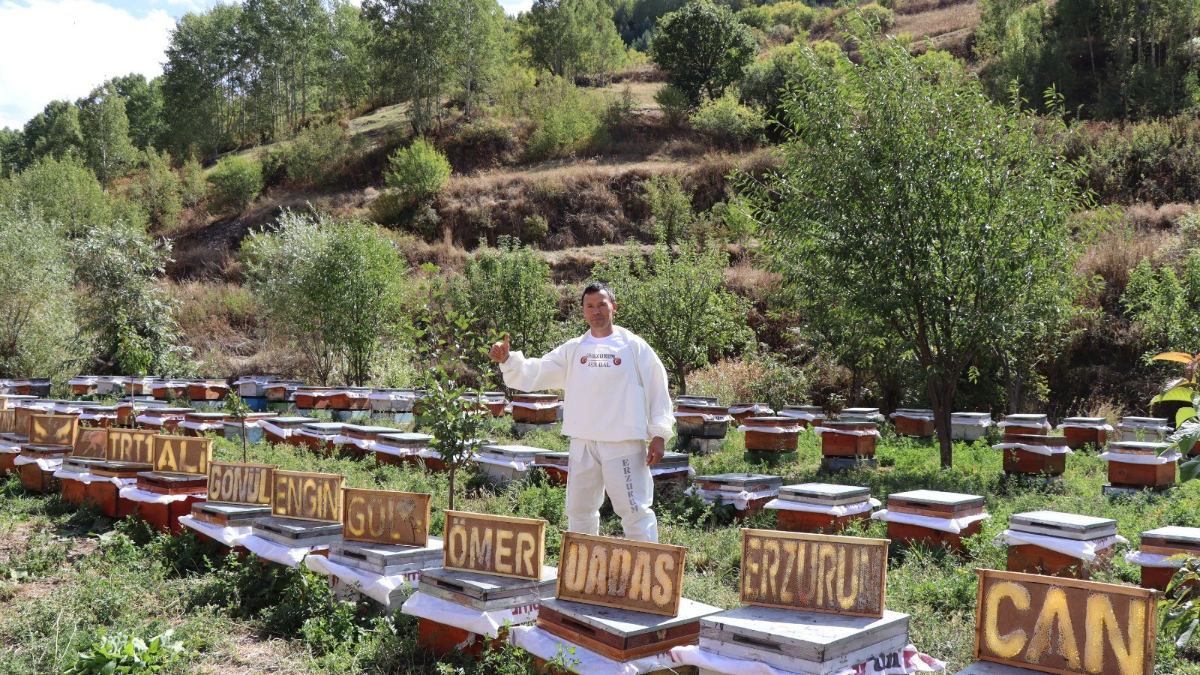 İlkbaharda Arılarına Yazma Eğitimi Veriyor