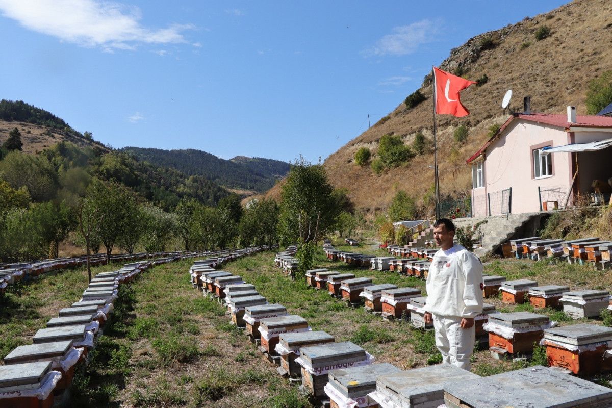 Balın Sağlık ve Sanat Boyutu