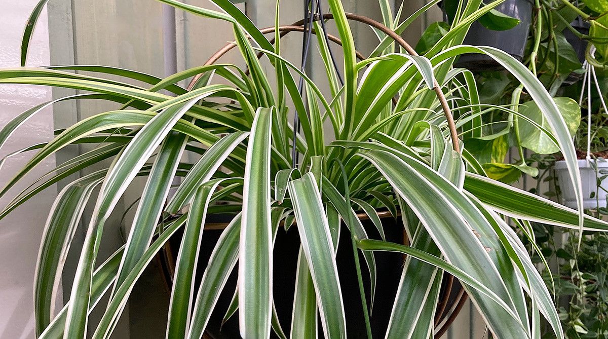 Dikkat Edilmesi Gerekenler