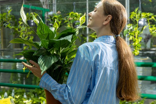 Evdeki Hijyen İçin En İyi 5 Bitki: Nemi ve Havayı Temizleyen Doğal Destekçiler