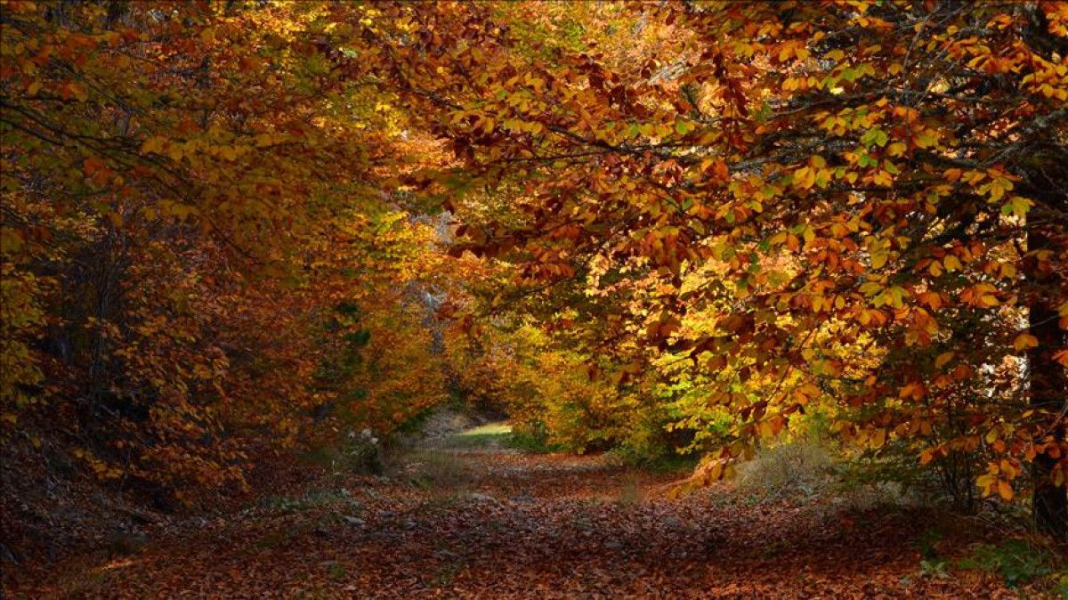 Eylül 2025 Hoşgeldin: Duygusal ve Romantik Mesajlarla Yeni Ayı Karşıla