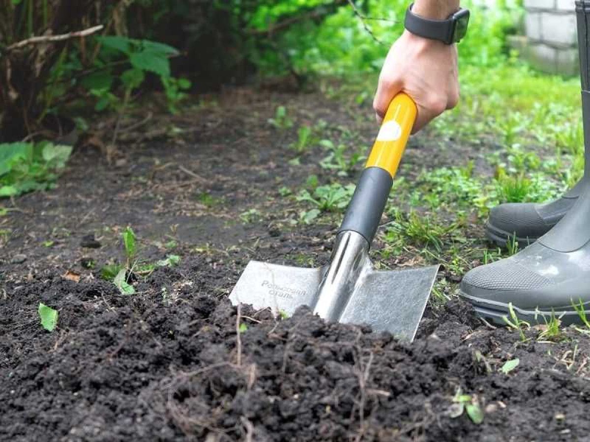 Eylül ve Ekim Aylarında Ekinleri Unutmayın: Veriminizi İki Katına Çıkarmanın Yolları!