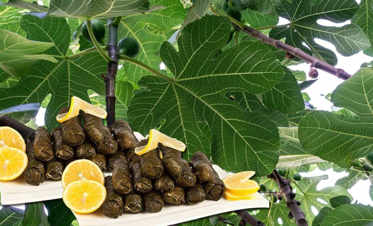 Geleneksel Tatlara Yenilikçi Bir Dokunuş: İncir Yaprağı Sarması Tarifi