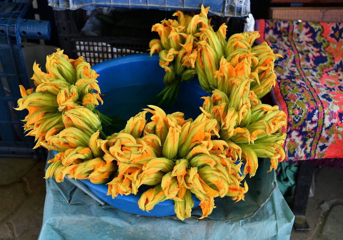 Önemli Dikkat Edilmesi Gerekenler