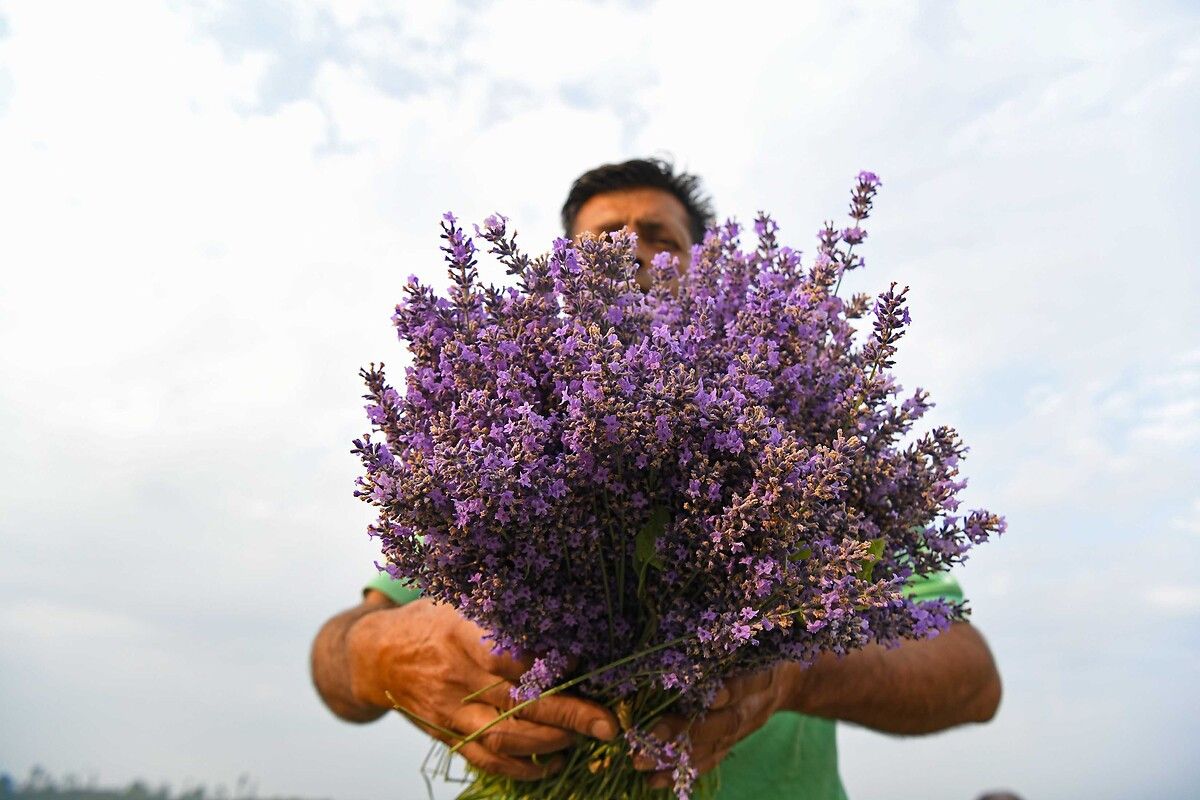 Önemli Dikkat Edilmesi Gerekenler