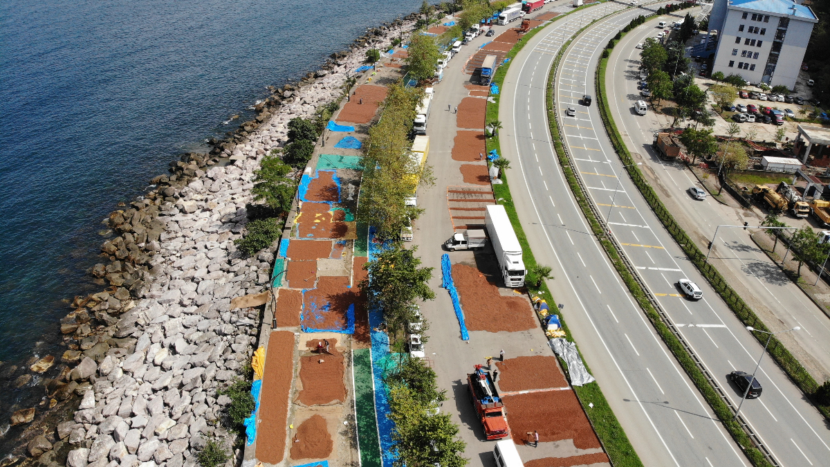 Fındık Kurutmayla İlgili Uyarı: Emanete Fındık Vermeyin