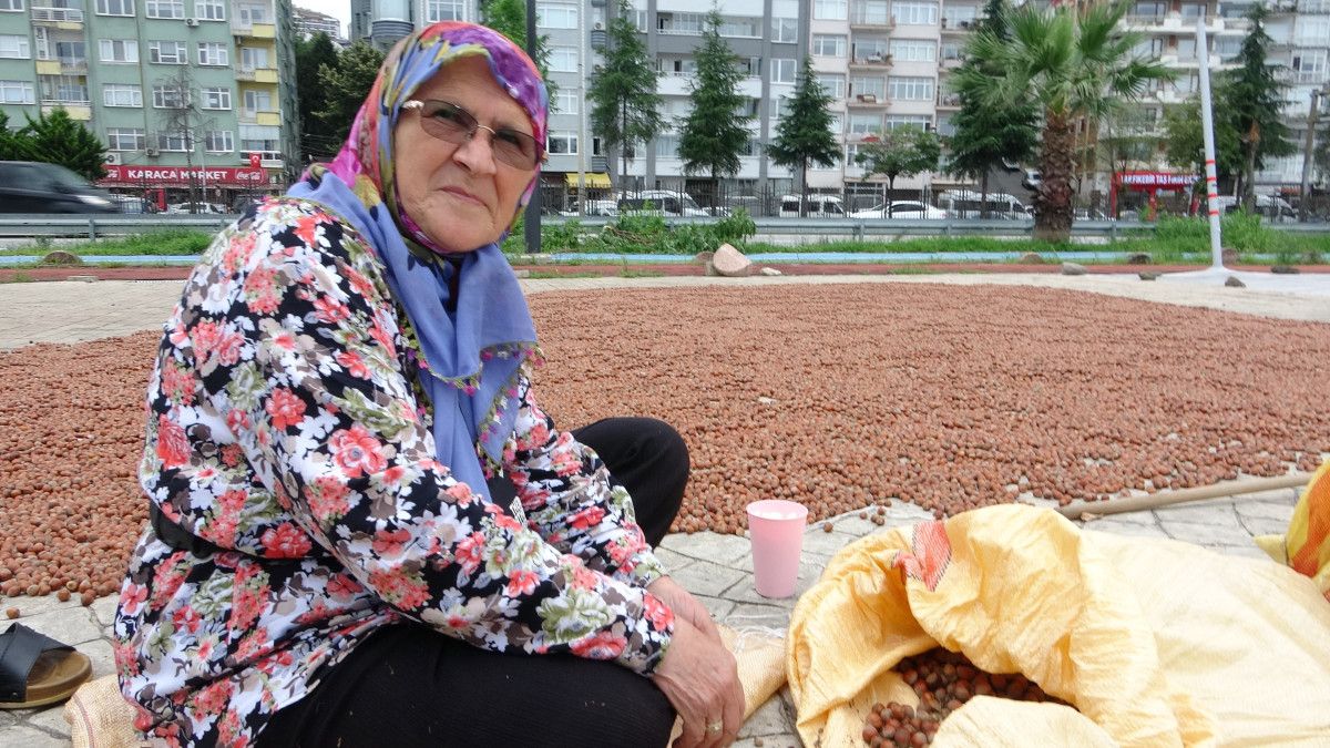 Giresun'da Fındık Hasadından Sonra Kurutma Süreci ve Detaylar