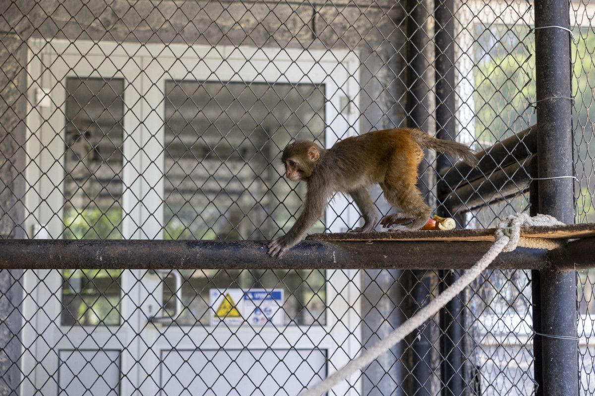 Şeker’e Güvenli Bir Yuva Oluştu