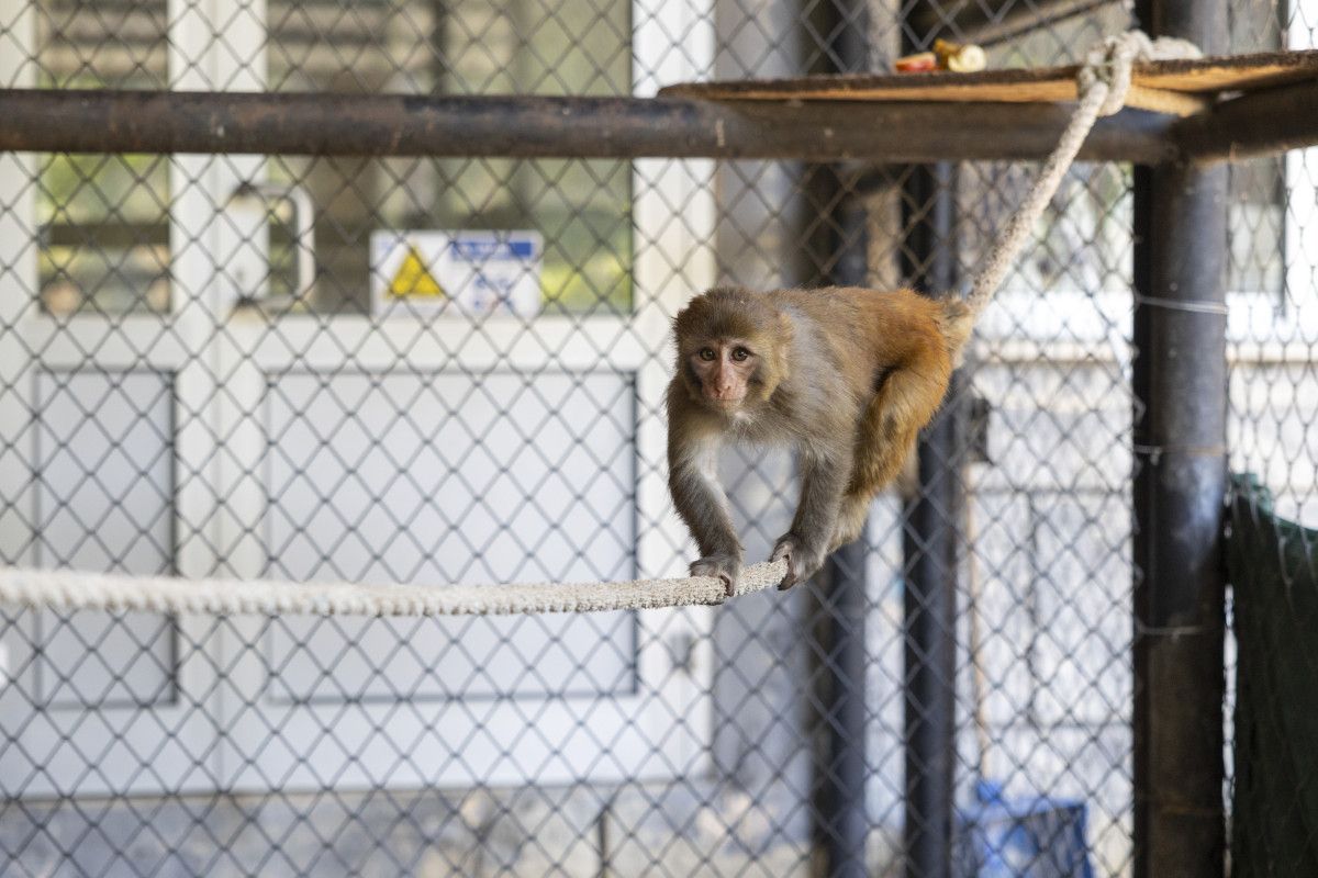 Şeker’e Güvenli Bir Yuva Oluştu