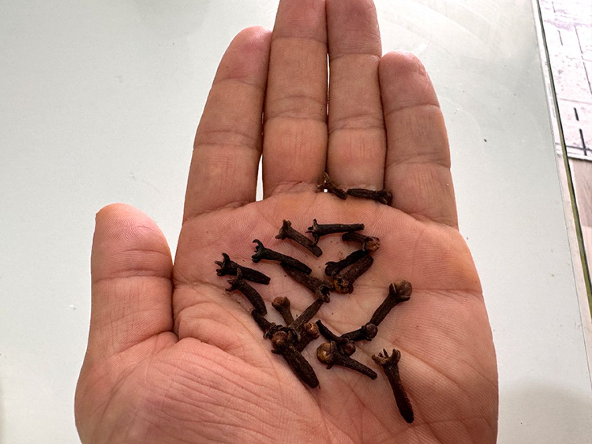 İbn-i Sinanın 16 Değerli Önerisi: Işığın Geçmişten Günümüze Yolculuğu