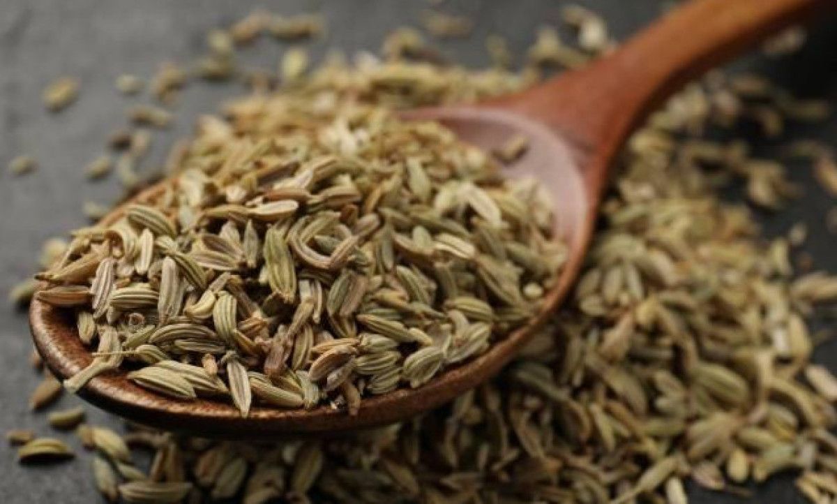 İbn-i Sinanın 16 Değerli Önerisi: Işığın Geçmişten Günümüze Yolculuğu