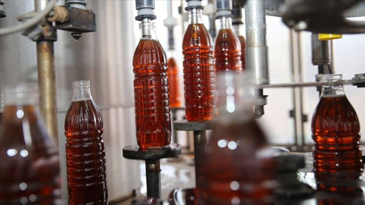 Kalp Sağlığını Destekleyen Etkileri