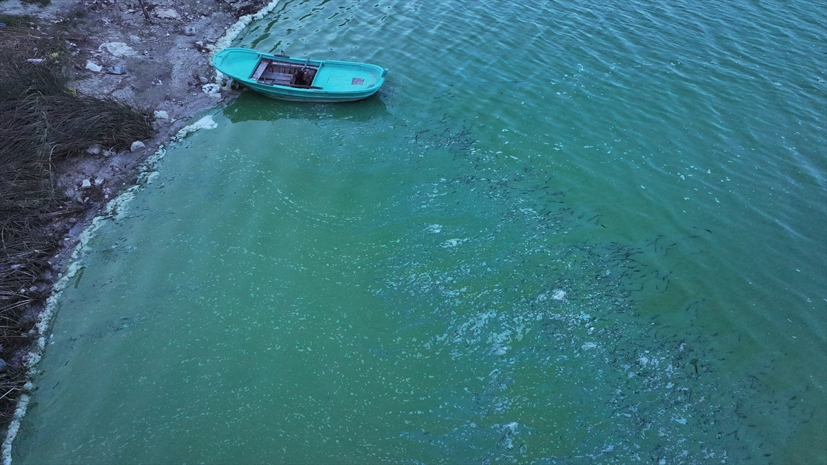 Su Kalitesi ve Çevresel Endişeler