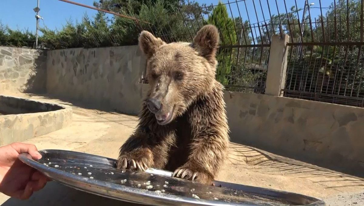 Okan’ın İsmi Nasıl Belirlendi?