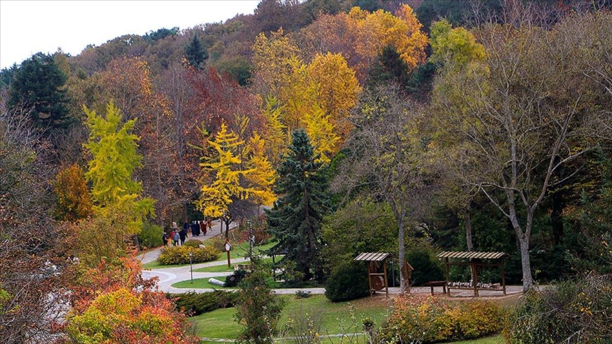 Atatürk Arboretumu