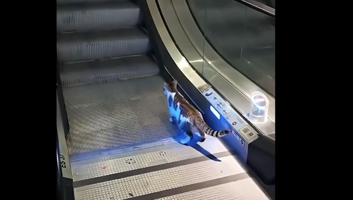 Sosyal Medyada Geri Bildirimler