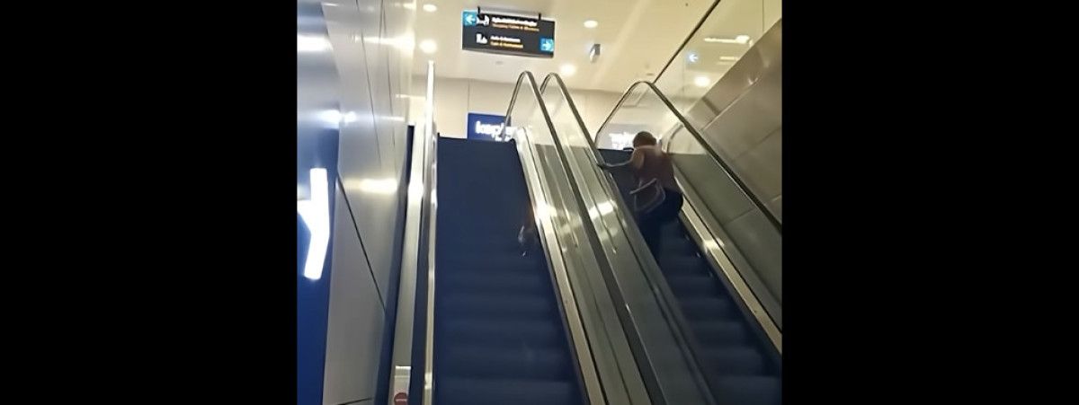 İstanbul'da Yürüyen Merdivene Ters Binmiş Sevimli Kediyle Güldüren Anlar