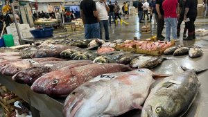 İzmir Balık Hali’nde Taze Deniz Ürünleri Rüzgarı