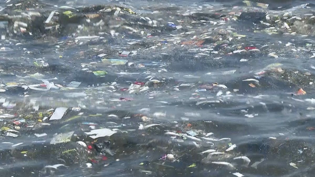 Vatandaşların Endişeleri ve İstekleri