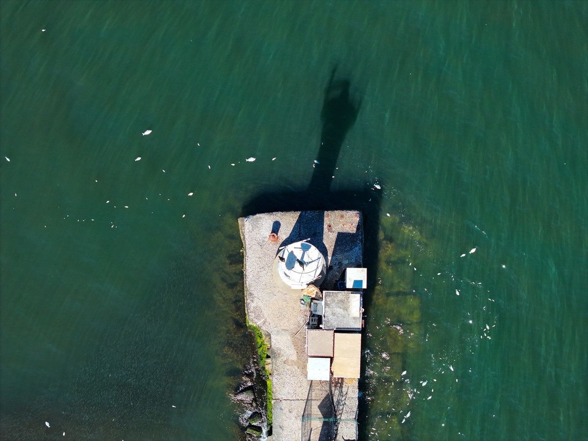 İzmir Körfezinde Balık Ölümünün Sebepleri ve Güncel Durum