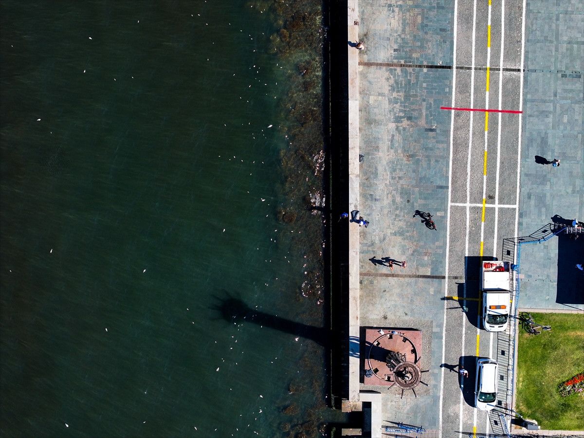 İzmir Körfezinde Balık Ölümünün Sebepleri ve Güncel Durum