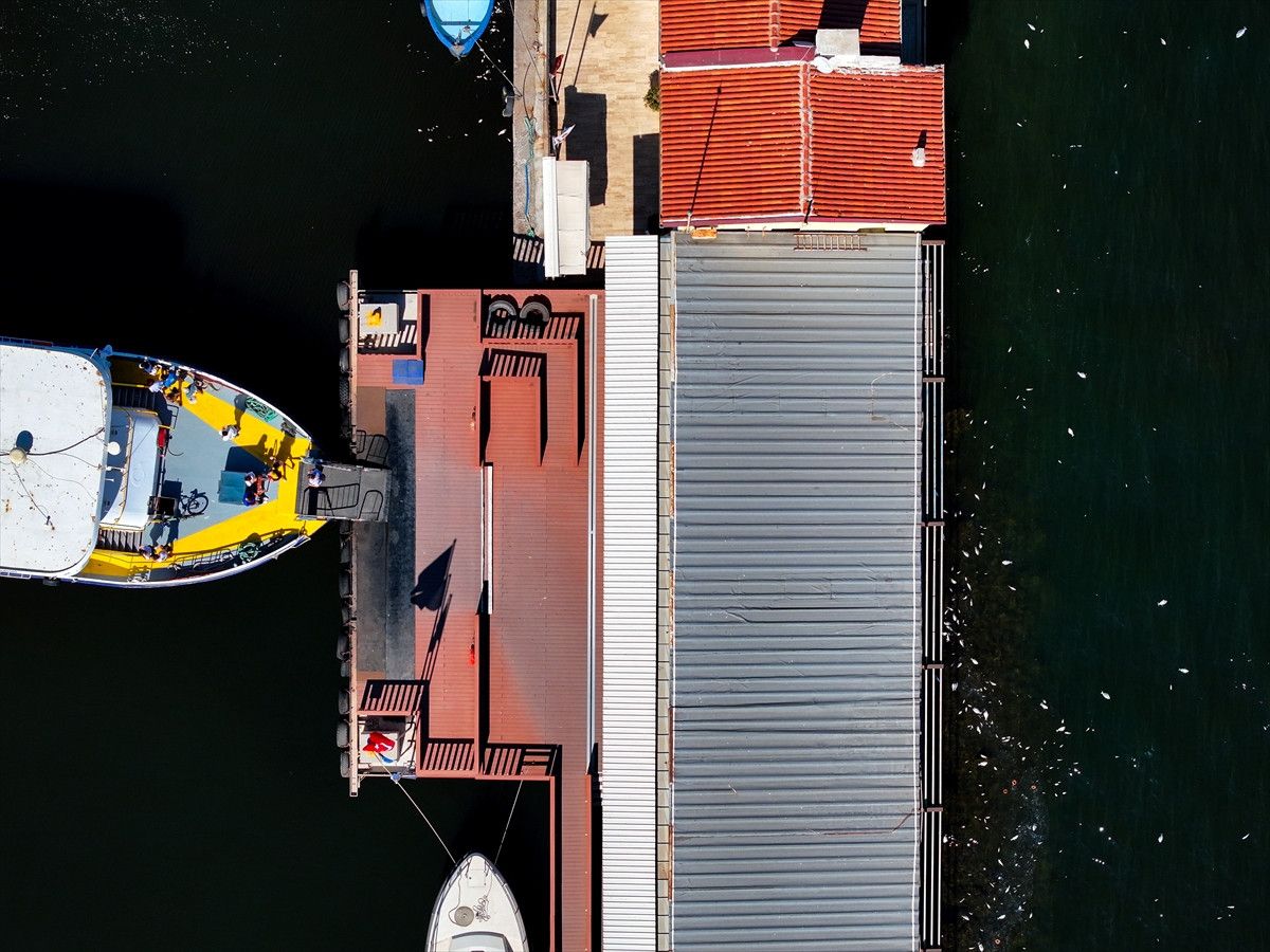 İzmir Körfezinde Balık Ölümünün Sebepleri ve Güncel Durum