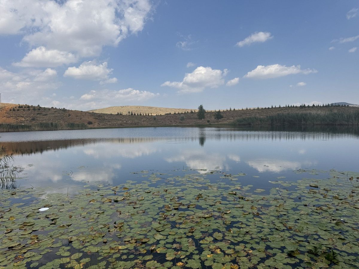 Kamp Severlerin Yeni Keşfi: Dipsizgöl ve Eğrigöl ile Doğanın Tadını Çıkarın