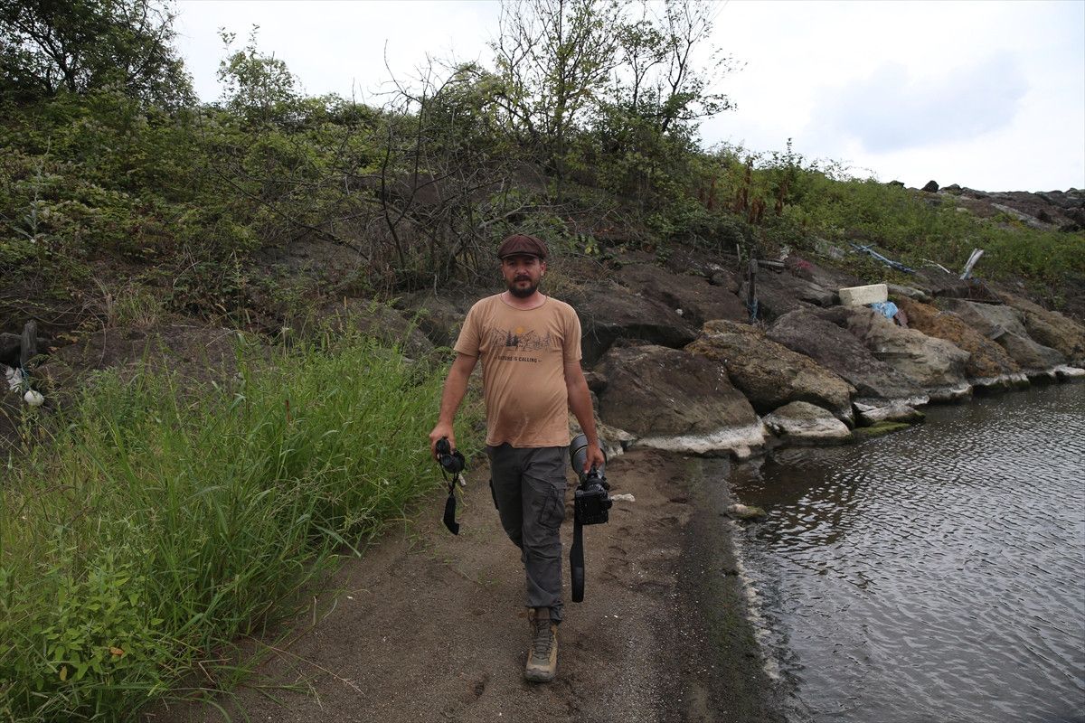 Bölgenin Biyolojik Zenginliği ve Endemik Türler
