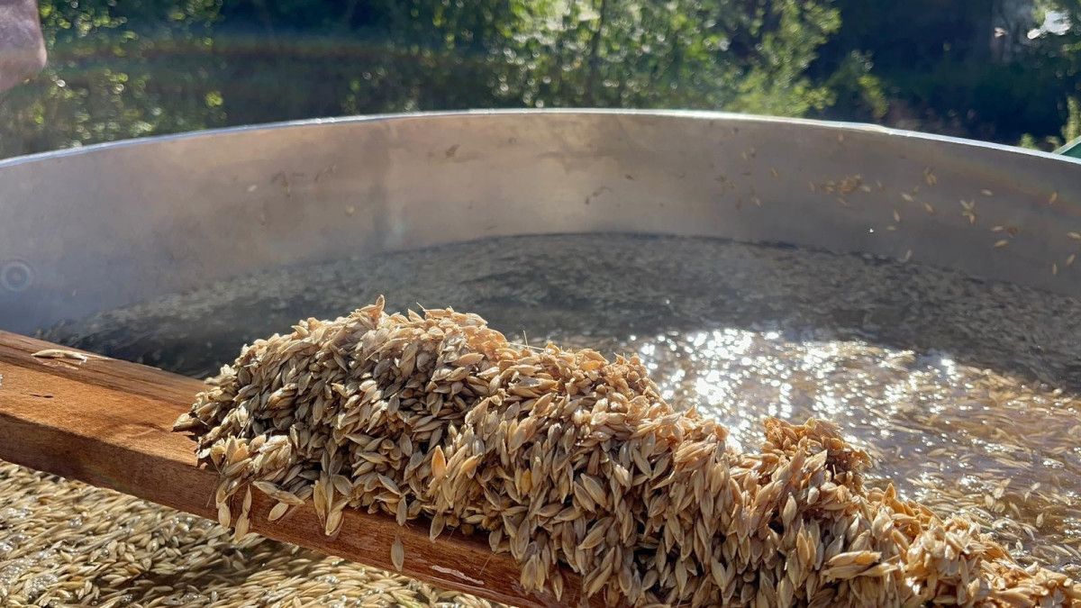 Kastamonu'nun 12 Bin Yıllık Siyez Geleneği UNESCO'nun Takdirini Topluyor